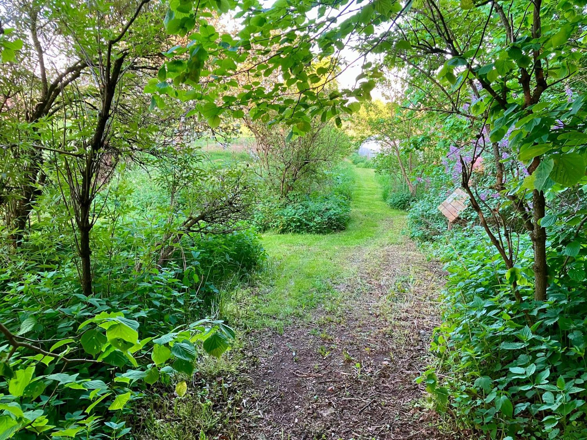 Lidhem Herrgard. Bed & Breakfast Och Mindre Laegenheter Vimmerby Εξωτερικό φωτογραφία
